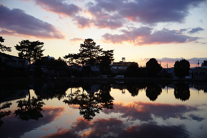 奈良 猿沢池