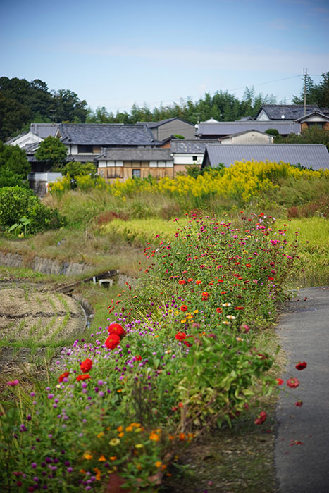 奈良 山の辺の道①
