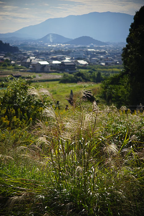 奈良 山の辺の道②